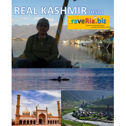 7h5m real kashmir 145