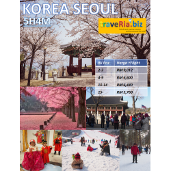Private Korea Seoul 5H4M